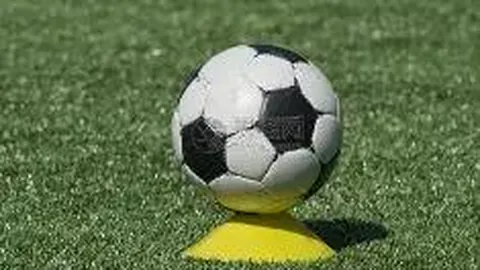 辽宁营口疫情传播链研判：社区传播风险大幅降低