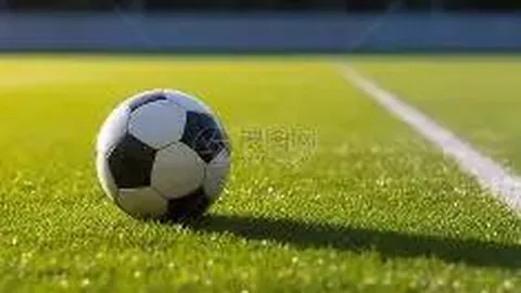 《帕尔马能否在冠军脚下踩下刹车？意甲悬念再起！》